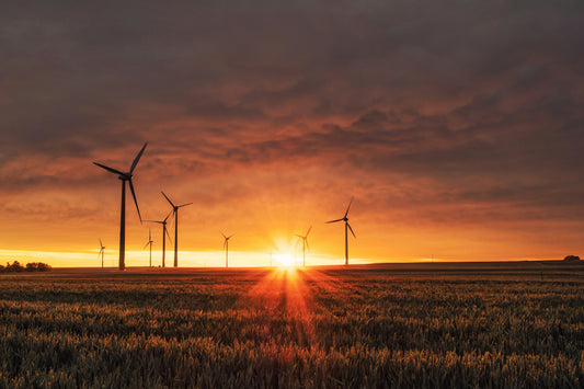 Hoe kan je CO2 uit de atmosfeer verwijderen?