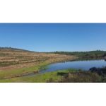 BambooLogic in Alcoutim, Portugal op 109ha