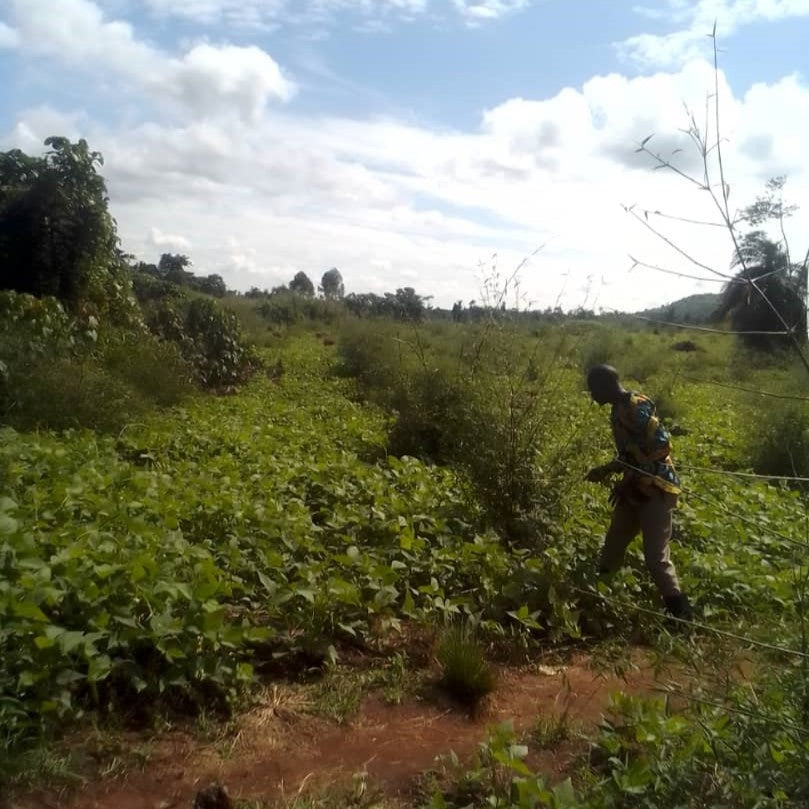 Bamboo Village in Nieuwkoop en Kiboga Uganda, 10ha