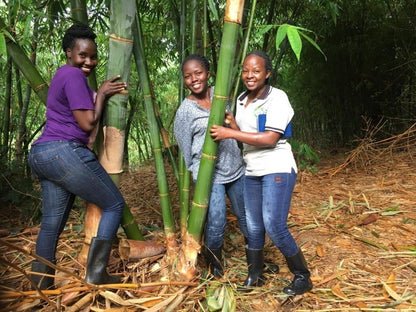 Bamboo Village in Nieuwkoop en Kiboga Uganda, 10ha