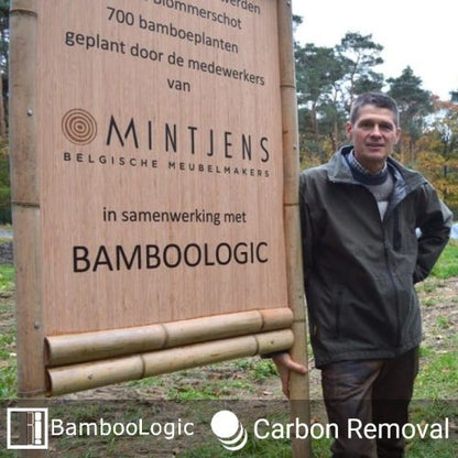 BambooLogic Mintjens in Blommerschot, Belgie op 1ha