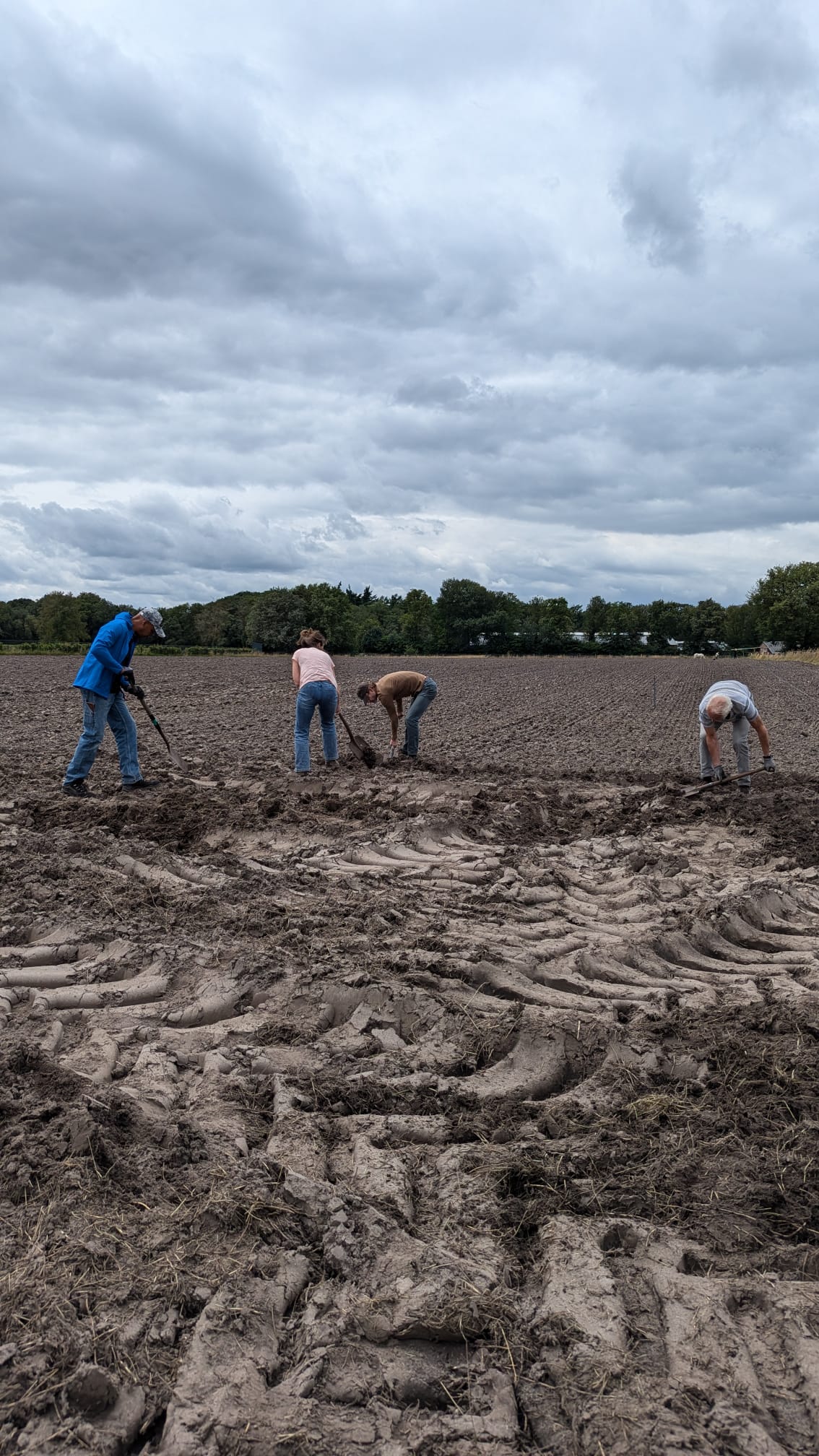 Finn's klimaatbomen in Heeze, Nederland