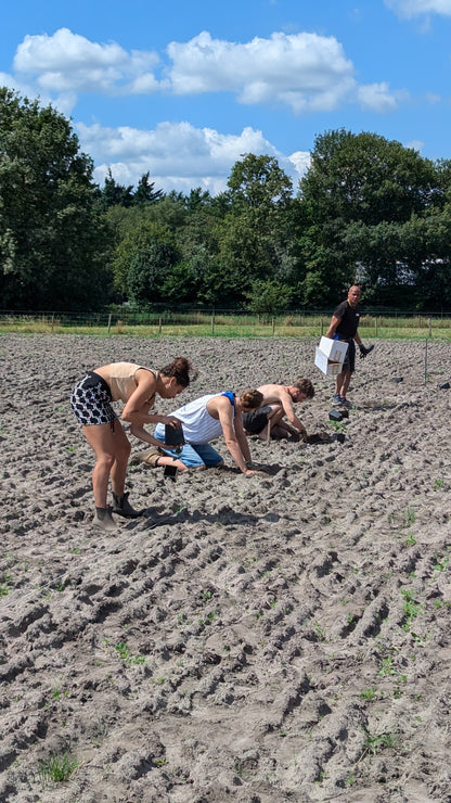 Finn's klimaatbomen in Heeze, Nederland