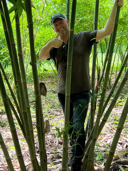 Bamboo Village in Nieuwkoop en Kiboga Uganda, 10ha